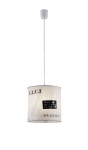 BAG  Hanglamp Reality by Trio Leuchten R30221001