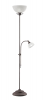 COUNTRY  Vloerlamp Reality by Trio Leuchten R4632-24
